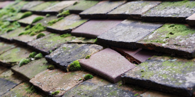 Rusholme roof repair costs
